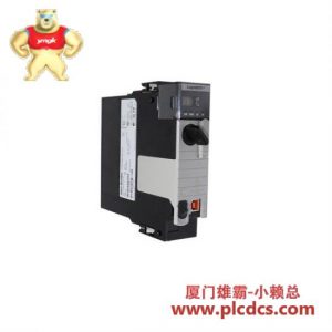 艾伦布拉德利 1756-L73/A 控制器