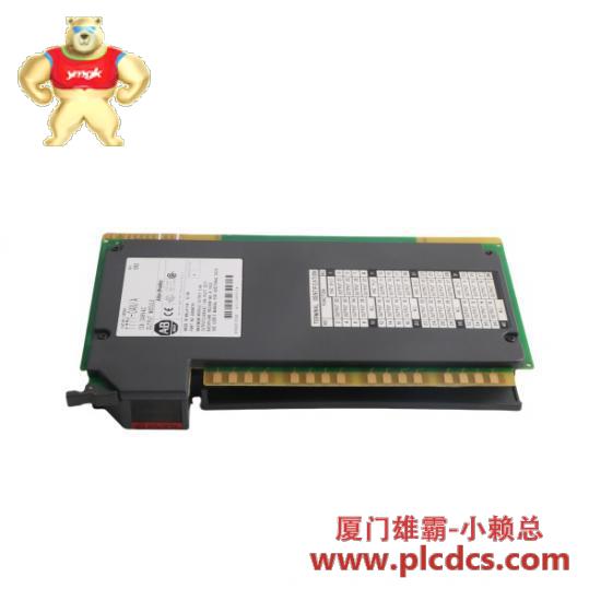 1771-oan_1771_oan_1.jpg 艾伦-布拉德利 1771-OAN 控制模块