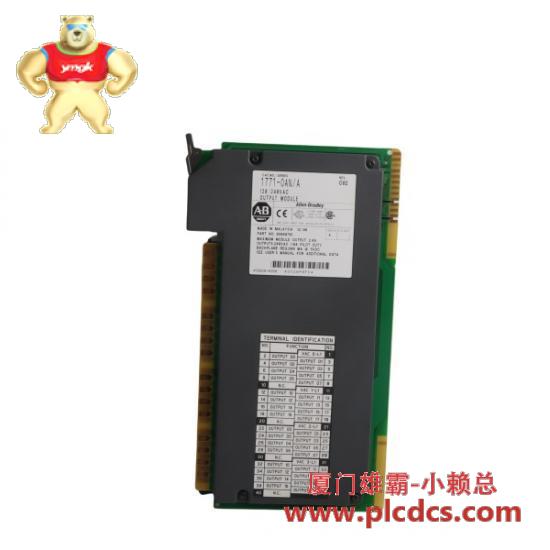 1771-oan_1771_oan_2.jpg 艾伦-布拉德利 1771-OAN 控制模块