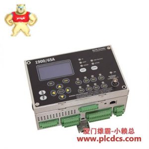 Bently Nevada 1900/65A 工业振动监测模块