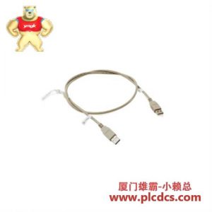 ABB ABB 3HAC022108-001 机器人部件电缆