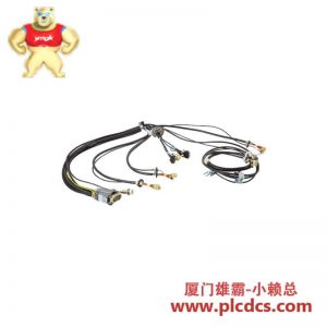 ABB ABB 3HAC022544-001 工业电缆组件