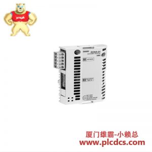 ABB RDNA-01 64606891 DeviceNet适配器模块