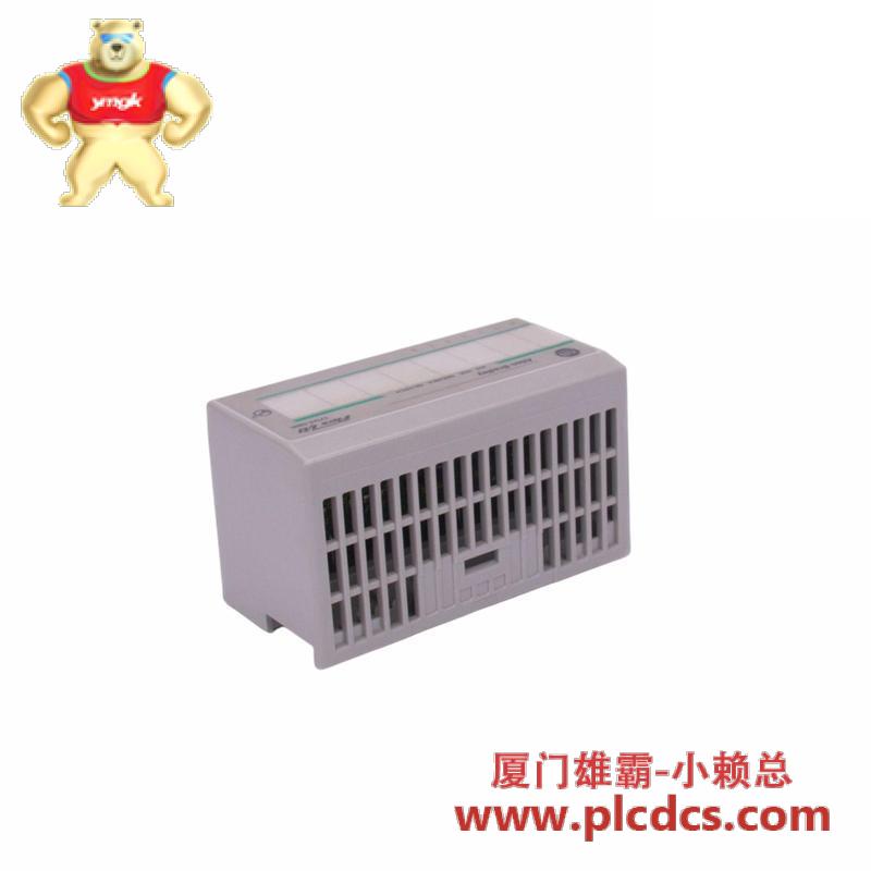 alstom_mcgg22l1cb0753e.jpg ALSTOM 阿尔斯通 MCGG22L1CB0753E 控制模块