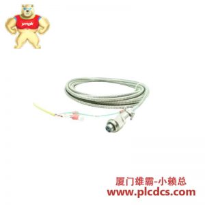 Bently Nevada 16710-09 连接电缆