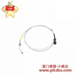 Bently Nevada 16710-30 互连电缆，适用于精密监测系统