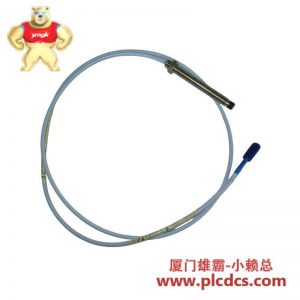 BENTLY NEVADA 3300101-00-32-10-02-05 靠近探头