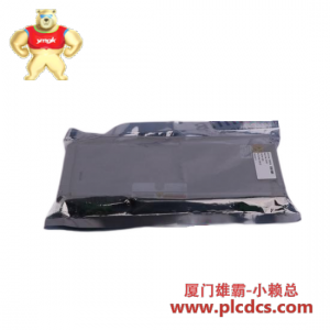 Bently Nevada 330105-02-12-05-02-CN 高精度振动监测系统