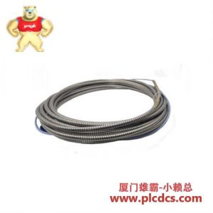 Bently Nevada 38817-02-85-05-94-01-02 延长电缆