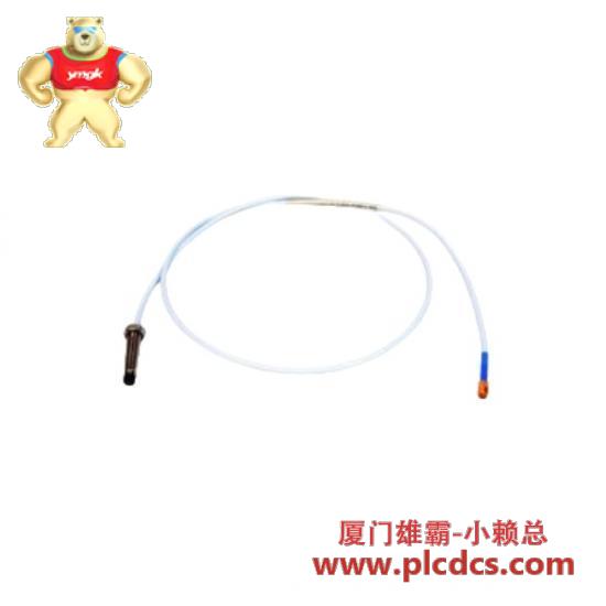 Bently Nevada 探头延长电缆 DS-1053/03/030/010/1/9