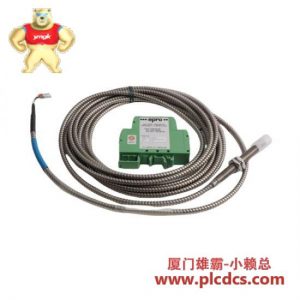 EMERSON Emerson Ovation 1X00884H01紧凑型控制器