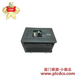 GE GE Fanuc IC200UDD240 微控制器