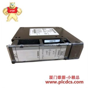 GE GE FANUC IC693ALG391 系列 90-30 模拟量输入模块