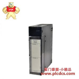 GE GE Fanuc IC693PWR331CA 电源供应模块