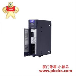 GE GE Fanuc IC695PDSD040 电源供应器