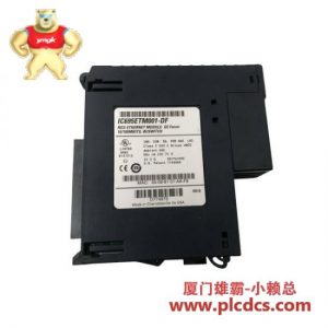 GE IC695ETM001 以太网接口模块