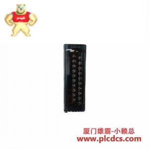 GE通用电气 IC694ACC311 终端块模块