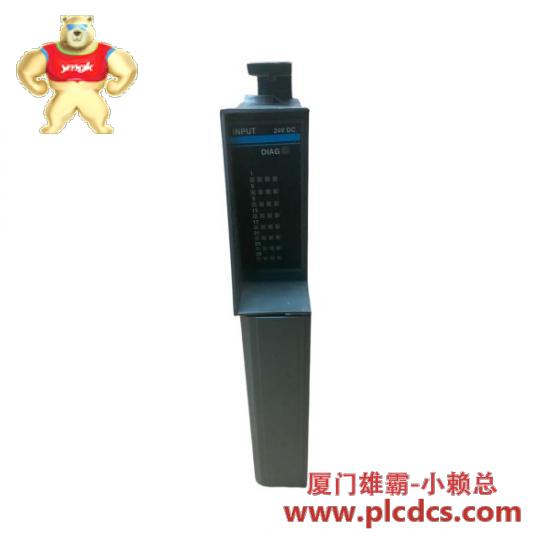 giddings_lewis_pic900_m_1016_9010_input_resolver_4ch_1.jpg GIDDINGS&LEWIS PIC900 M.1016.9010 输入解算器(4通道)