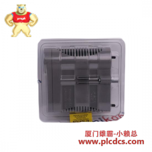 霍尼韦尔 51305084-100 PLC 控制模块