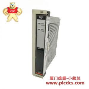 施耐德 Others Modicon AS-B875-101 模拟输入模块