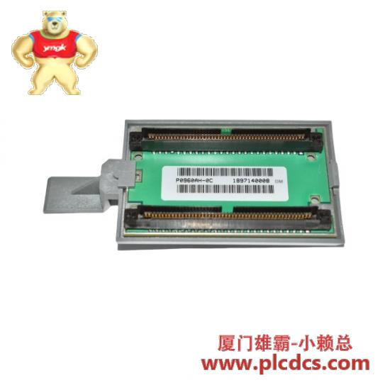 p0960ah-0c_foxboro_z-bus_connector_module.jpg 福克斯波罗 P0960AH-0C Z-Bus连接模块
