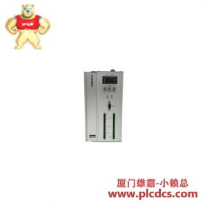 派克 CPX2500S COMPAX-SSERVO 驱动器