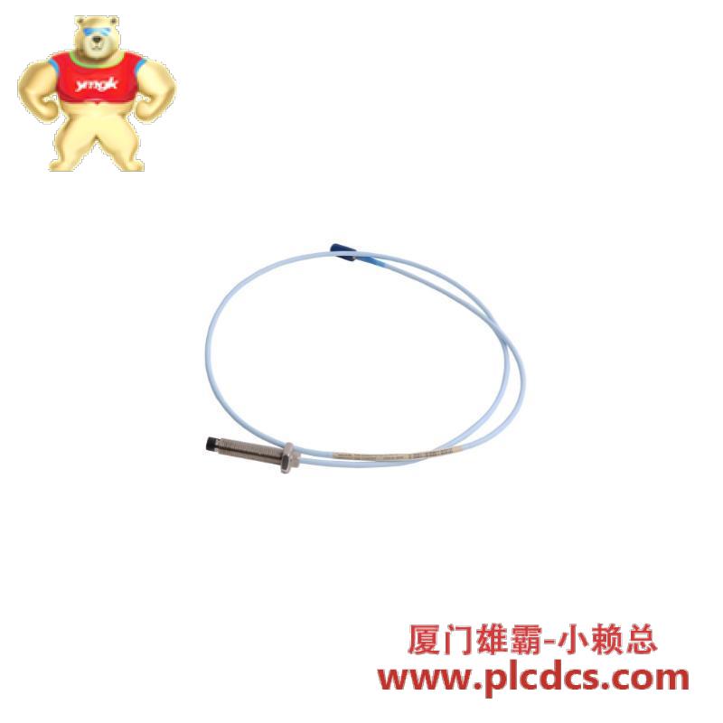 ramix_pmc008a_700502.jpeg 施耐德RAMIX PMC008A 700502 工业级内存模块