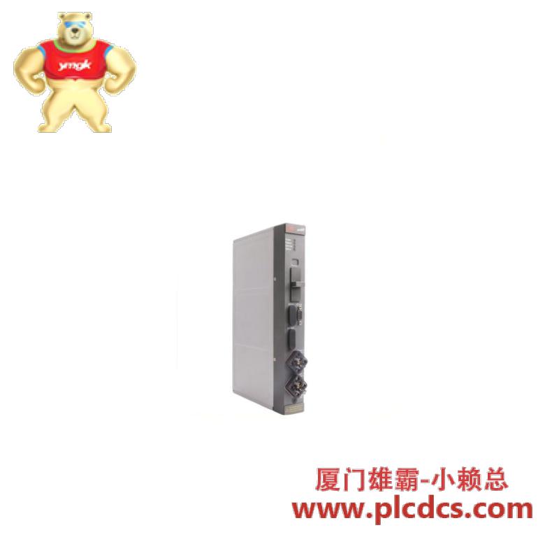 ramix_pmc008a_700502_1.jpg 施耐德RAMIX PMC008A 700502 工业级内存模块