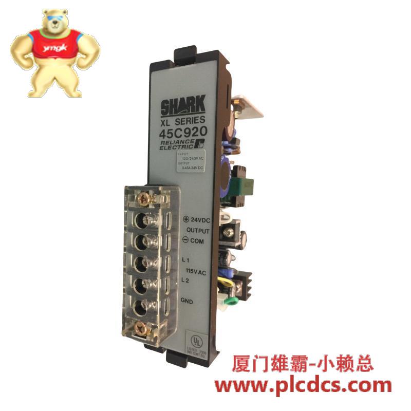 reliance_electro_45c920_power_supply.jpg RELIANCE ELECTRIC 45C920 交流电源模块