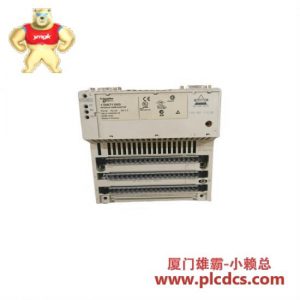施耐德Schneider 170INT11003模拟I/O通信适配器模块
