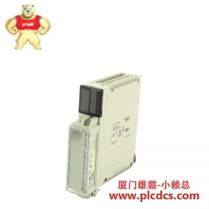 施耐德 TSX08CD08R6AC 数字输入模块