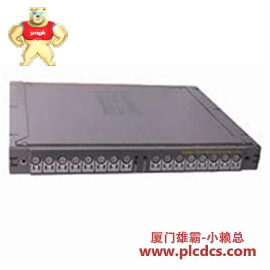 t8451_digital_output_module.jpg ICS Others T8451 数字输出模块