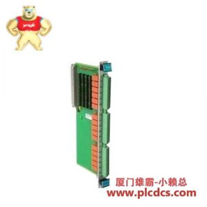 VIBRO METER VM600 RLC16 200-570-000-211 高精度振动监测控制器