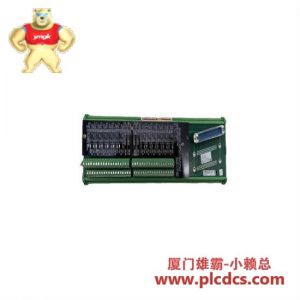 WOODWARD 5501-376 模拟输入输出模块