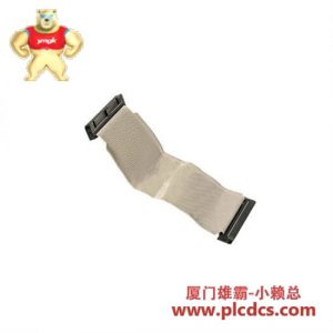 施耐德电气 PLC 1746-C7 连接电缆