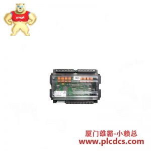 WOODWARD 8440-2028 扩展模块