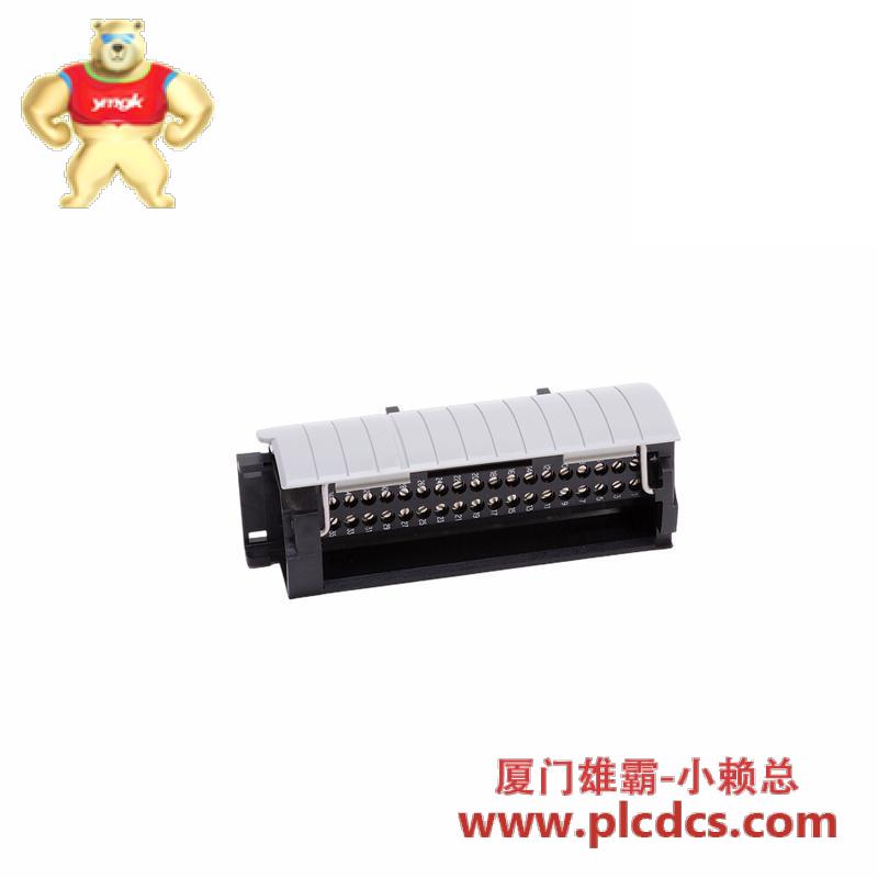 a-b_1756-tbch.jpg A-B 1756-TBCH 控制模块