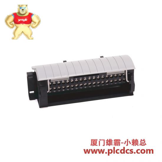 a-b_1756-tbch_1.jpg A-B 1756-TBCH 控制模块