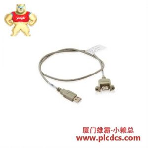 ABB ABB 3HAC020598-001 控制器模块 USB前端连接线