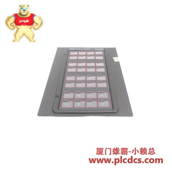 abb_bailey_iiadp02_display_panel.jpg ABB ABB Bailey IIADP02 显示面板