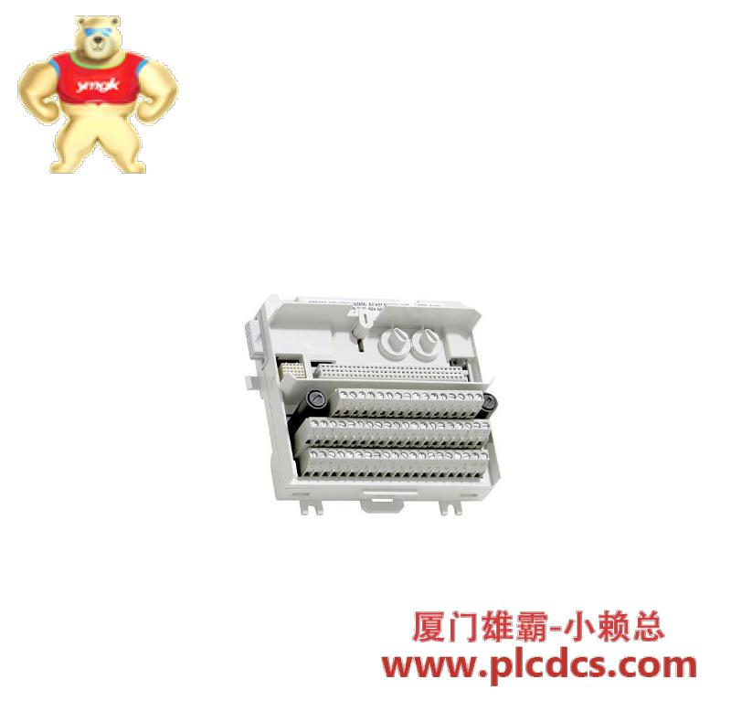 abb_di810_tu830v1_extended_module_termination_unit.jpg ABB DI810 数字输入模块 + TU830V1 扩展终端单元