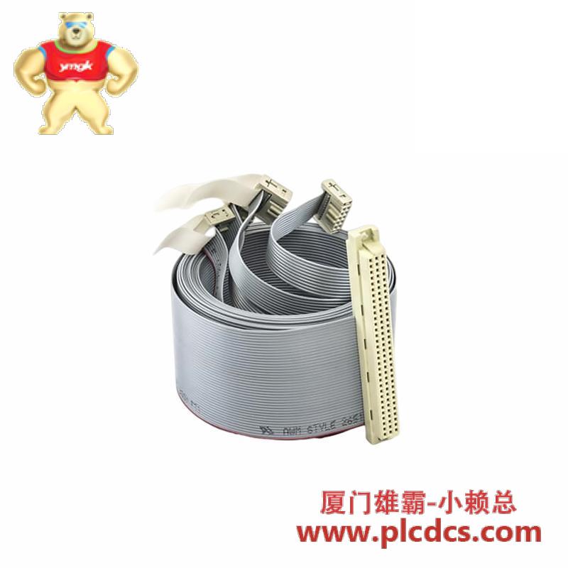 abb_dstk165_26390603-an_ribbon_cable.jpg ABB DSTK165 26390603-AN 工业级柔性扁平电缆