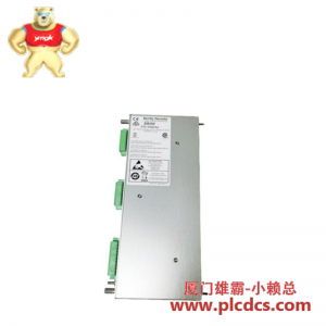 Bently Nevada 22810-00-04-10-02 靠近探头 自动化部件