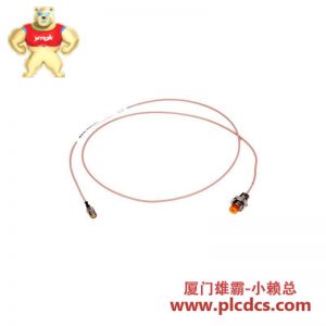 BENTLY NEVADA 30000-00-20-36-02 探头 震动监测模块