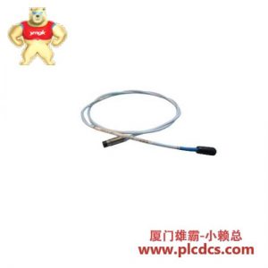 Bently Nevada 330101-00-10-10-02-00 靠近传感器