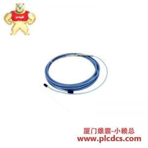 Bently Nevada 330854-080-24-CN 扩展电缆