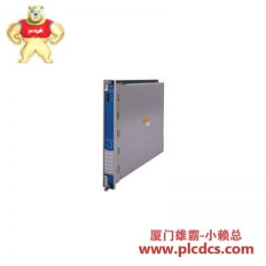 Bently Nevada 3500/60 173186-01 温度监测器