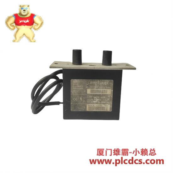 beru_w-zg_02_v_ignition_transformer.jpg BERU W-ZG 02/V 点火变压器,适用于工业控制系统