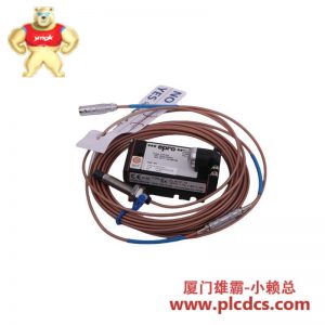 Emerson Epro PR9268/307-100电流传感器