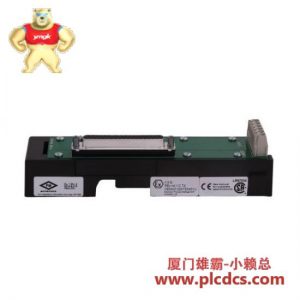 EMERSON KJ4010X1-BG1 12P0830X062 DeltaV本地总线右侧扩展器